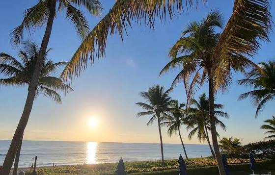 Best Palm Beach County Suburbs for Families Relocating in 2026