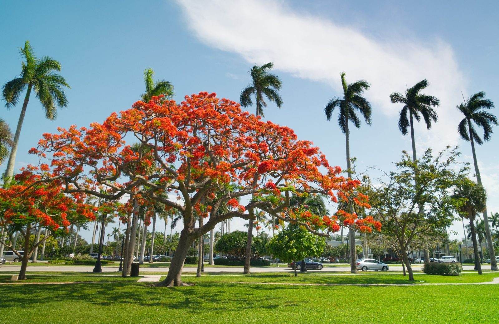 Palm Springs, Florida